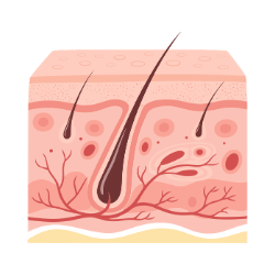 ciencia dermatologica